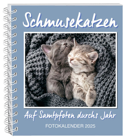 Schmusekatzen Fotokalender 2025