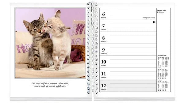 Schmusekatzen Fotokalender 2025