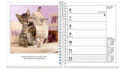 Schmusekatzen Fotokalender 2025