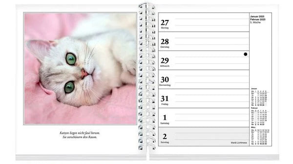 Schmusekatzen Fotokalender 2025