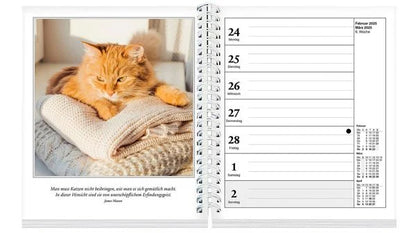 Schmusekatzen Fotokalender 2025