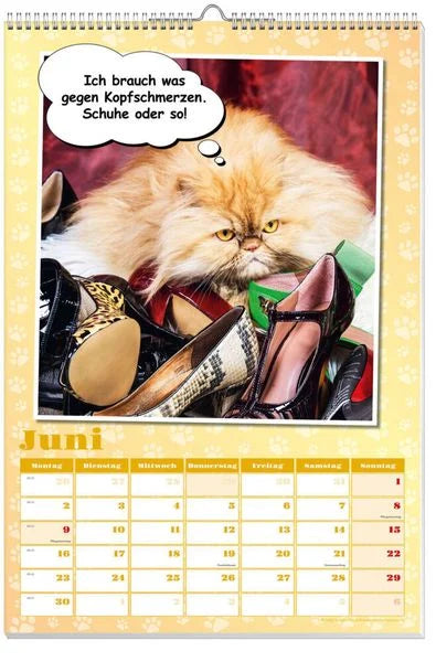 Coole Katzen Posterkalender 2025