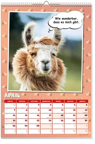 Coole Lamas Posterkalender 2025