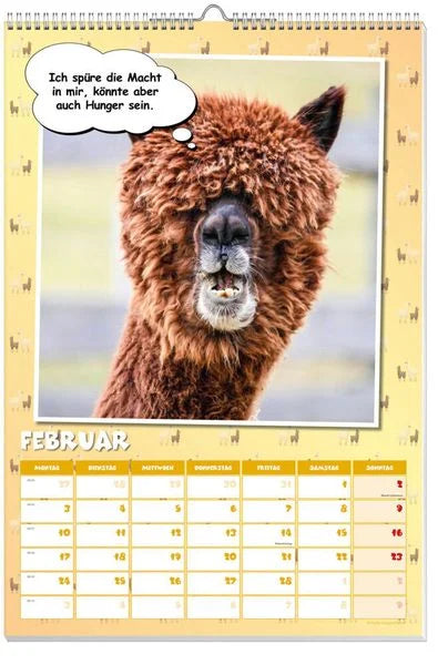 Coole Lamas Posterkalender 2025