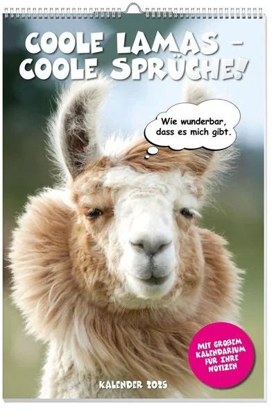 Coole Lamas Posterkalender 2025