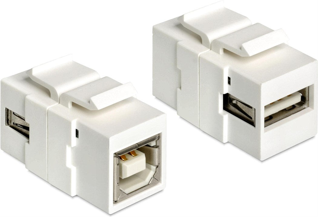 Delock Keystone-Modul USB2.0, A - B/B - A, (f-f) Weiss