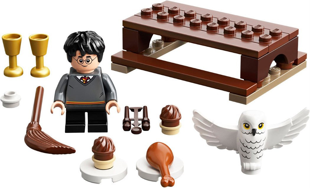 Lego Harry Potter - Harry Potter und Hedwig: Eulenlieferung