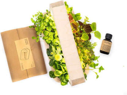 BerlinGreen GreenBox Einstieg Deluxe Bundle